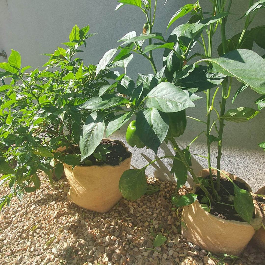 Outdoor Eco Friendly Jute Plant Pots (2.8 Liters)