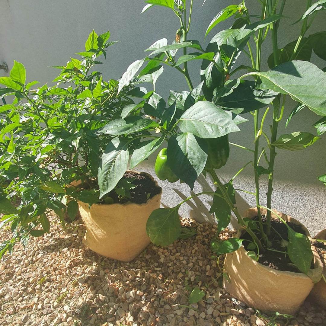 Outdoor Eco Friendly Jute Plant Pots (2.8 Liters)